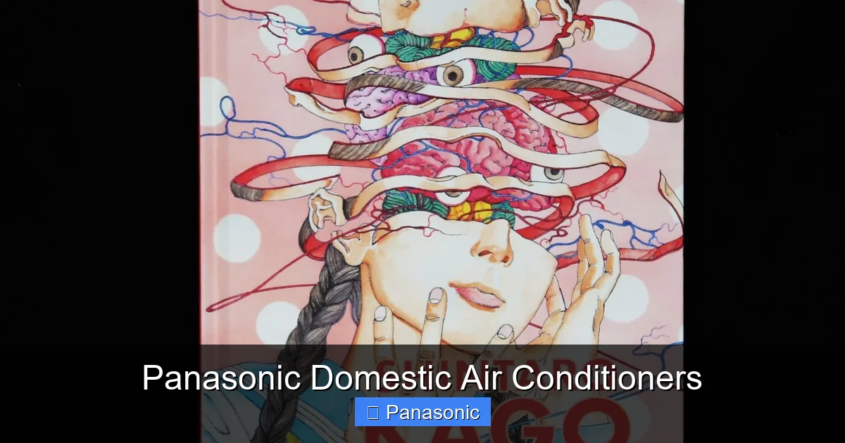 Panasonic Domestic Air Conditioners