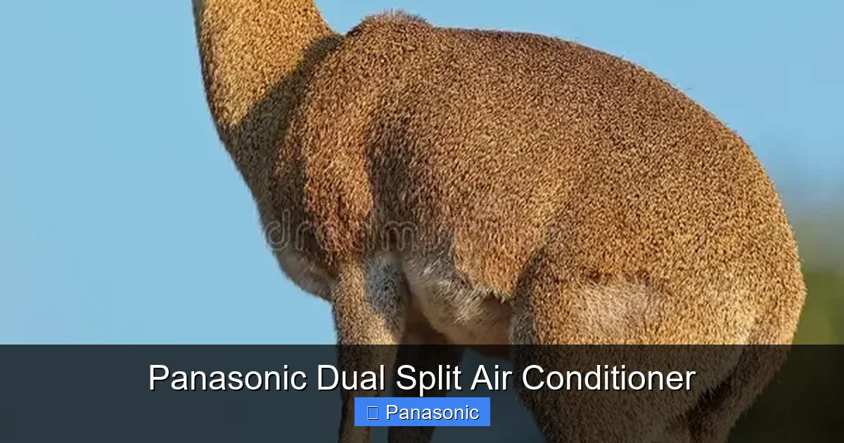 Panasonic Dual Split Air Conditioner