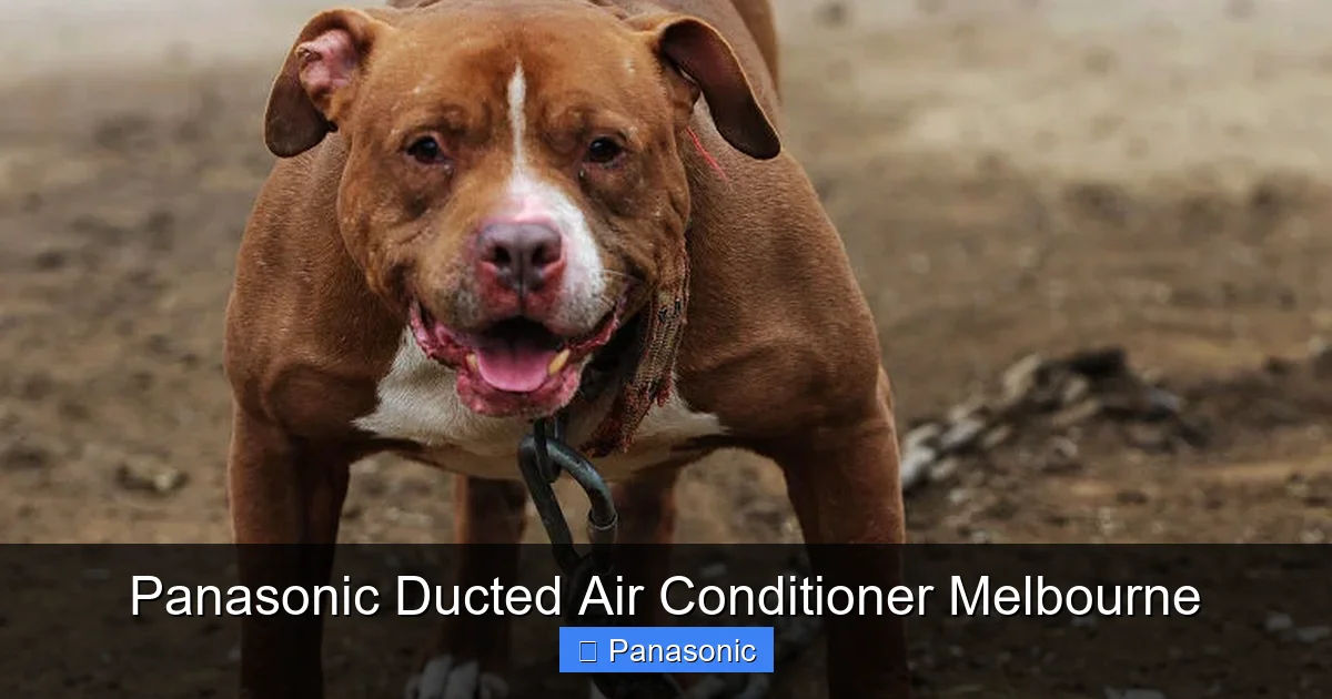 Panasonic Ducted Air Conditioner Melbourne