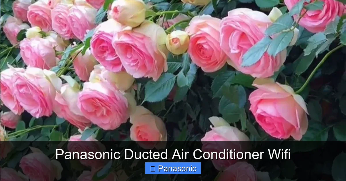 Panasonic Ducted Air Conditioner Wifi