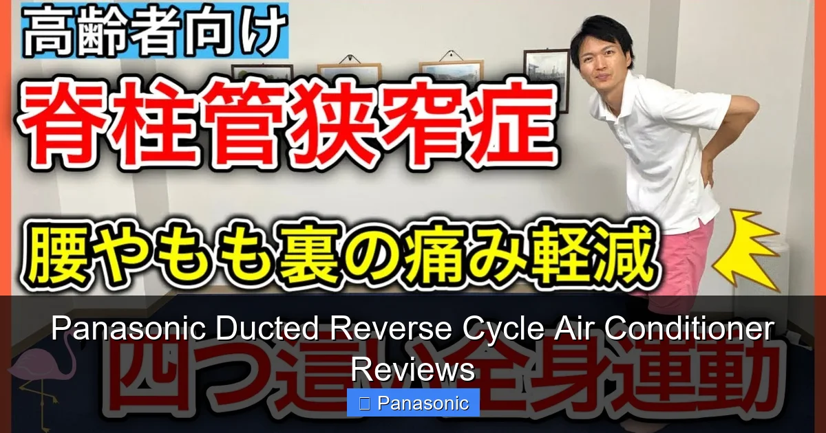 Panasonic Ducted Reverse Cycle Air Conditioner Reviews
