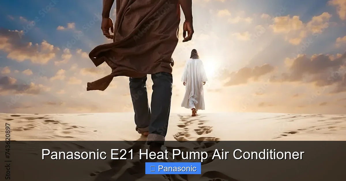 Panasonic E21 Heat Pump Air Conditioner