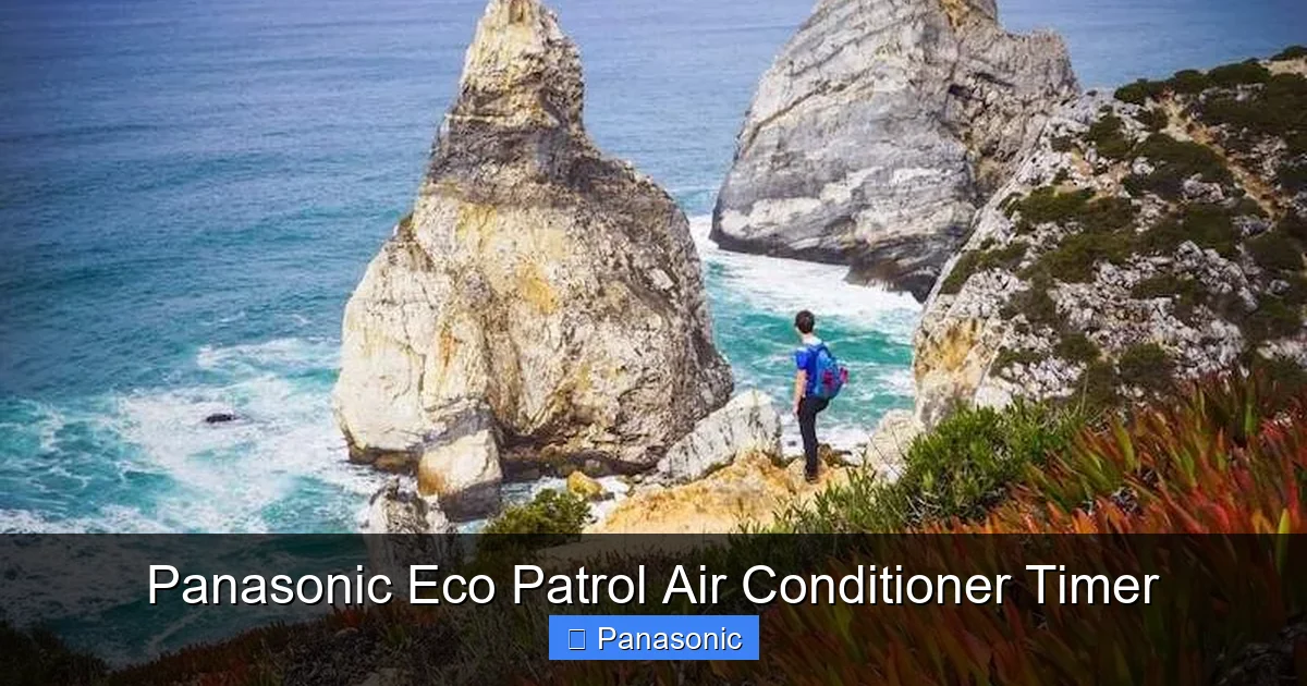 Panasonic Eco Patrol Air Conditioner Timer