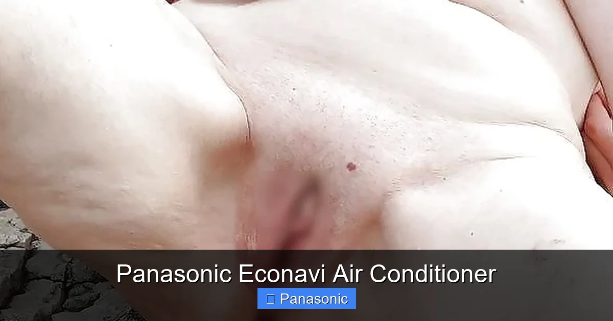 Panasonic Econavi Air Conditioner