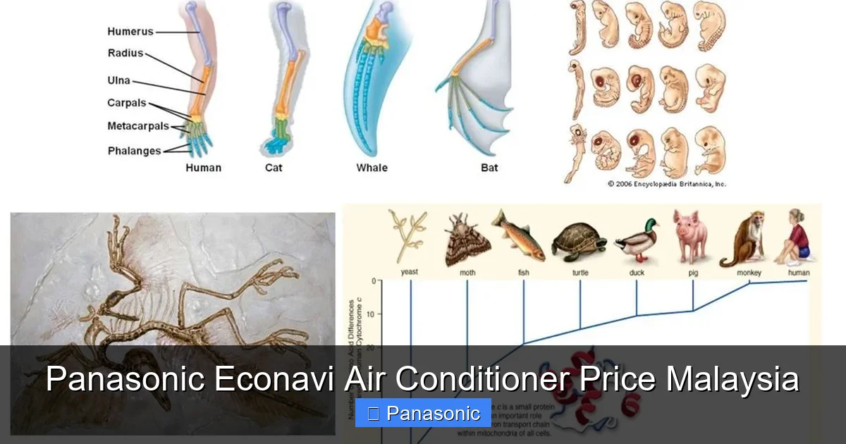 Panasonic Econavi Air Conditioner Price Malaysia