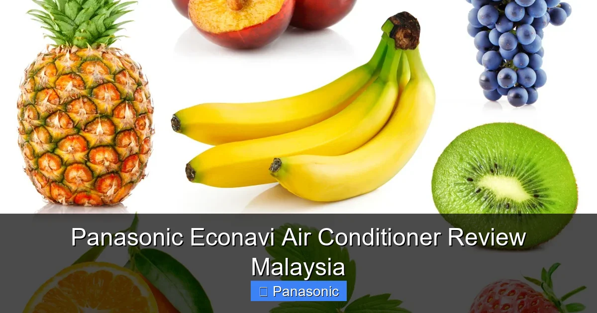Panasonic Econavi Air Conditioner Review Malaysia