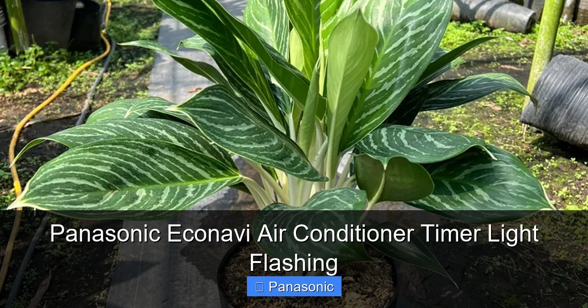 Panasonic Econavi Air Conditioner Timer Light Flashing