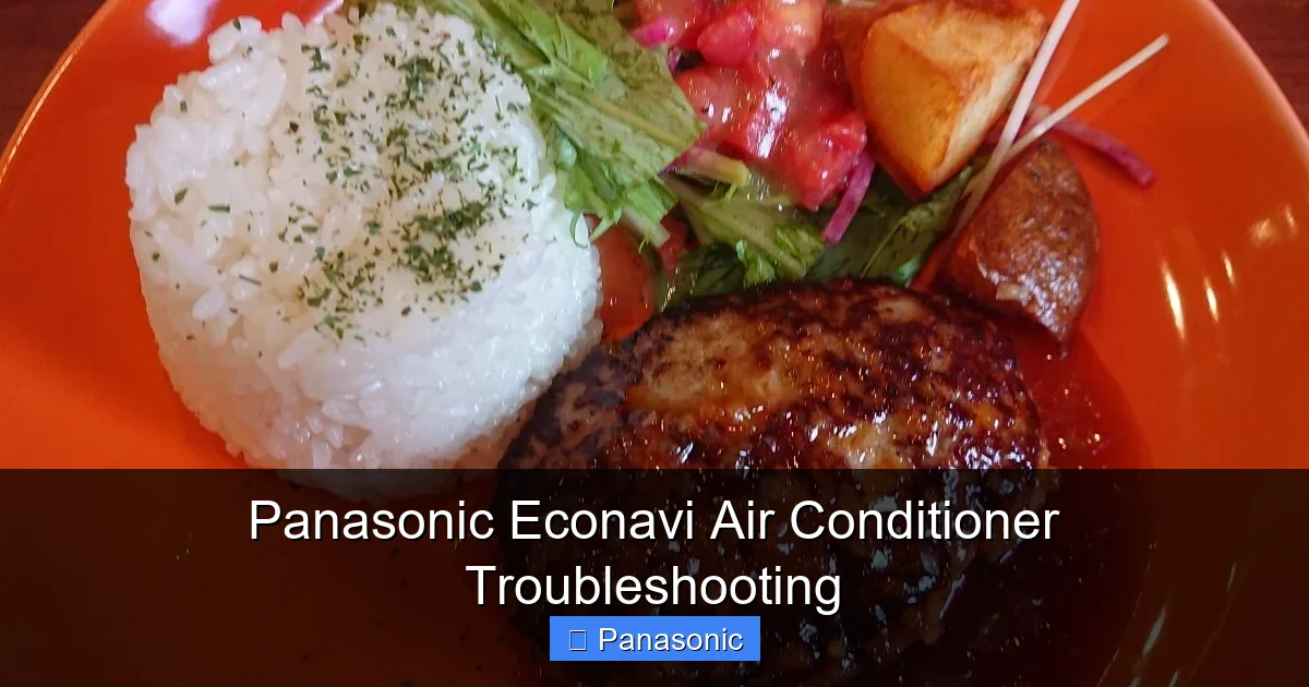 Panasonic Econavi Air Conditioner Troubleshooting