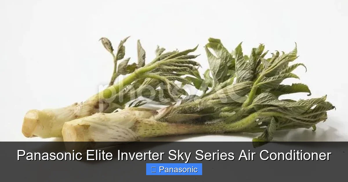 Panasonic Elite Inverter Sky Series Air Conditioner