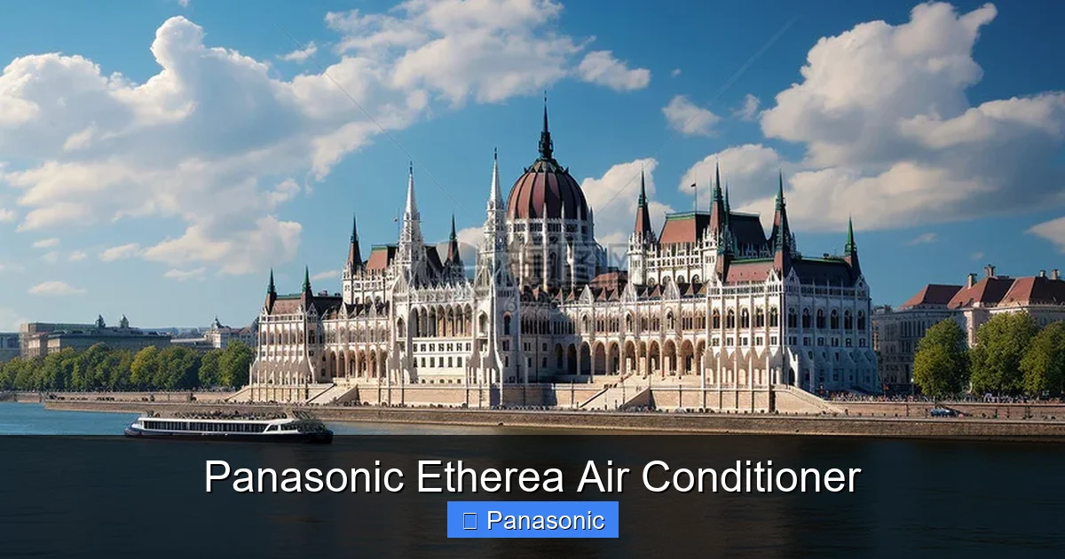 Panasonic Etherea Air Conditioner