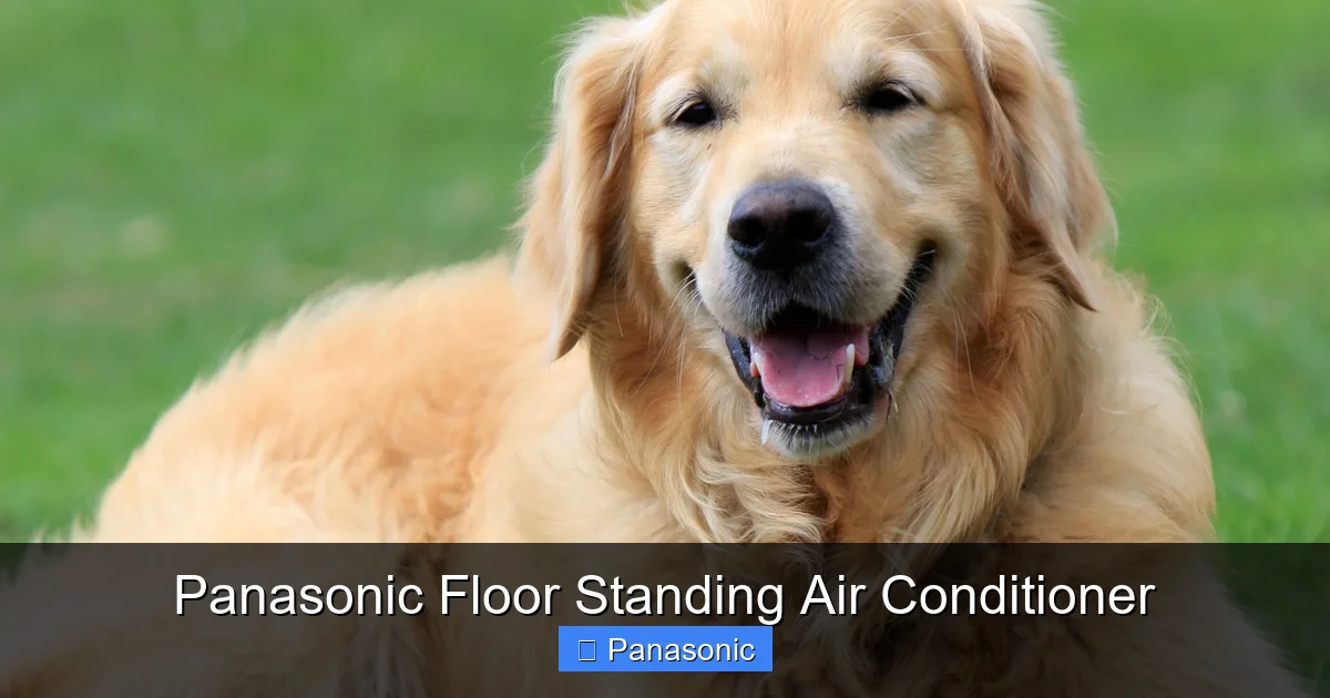 Panasonic Floor Standing Air Conditioner