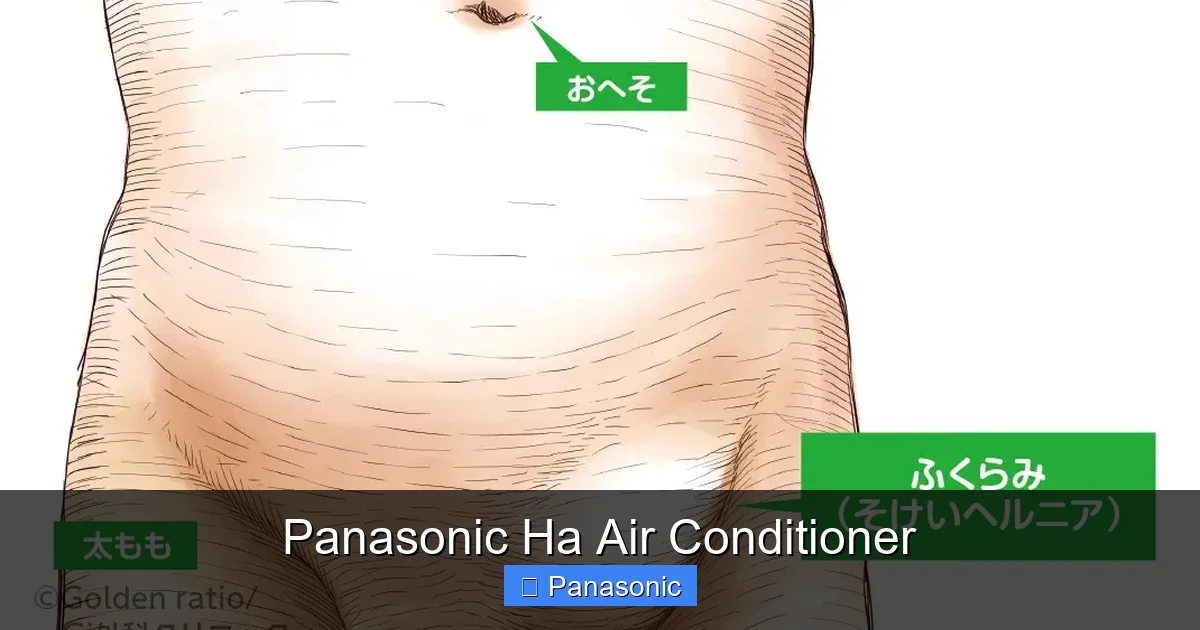 Panasonic Ha Air Conditioner