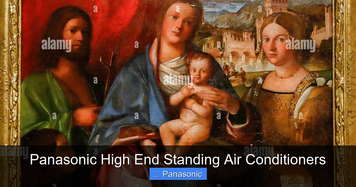 Panasonic High End Standing Air Conditioners