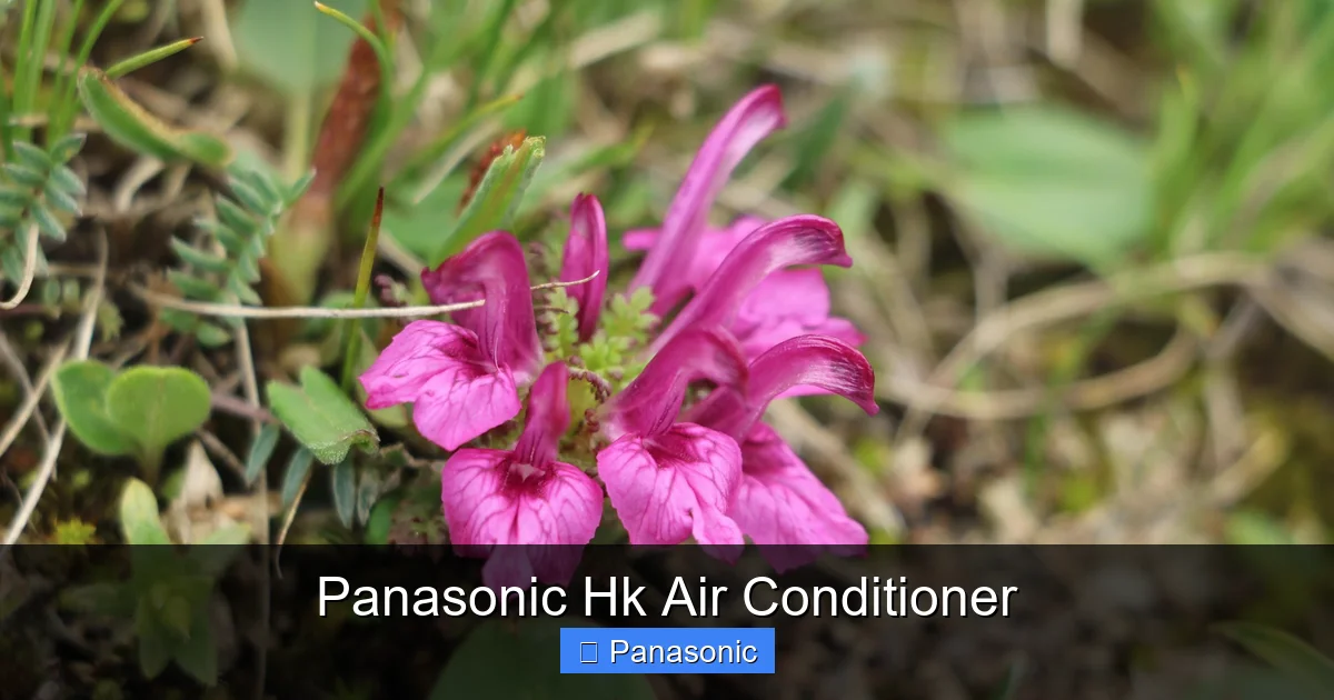 Panasonic Hk Air Conditioner