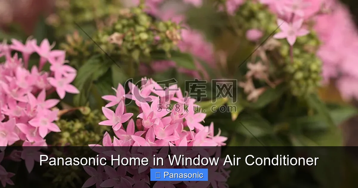 Panasonic Home in Window Air Conditioner