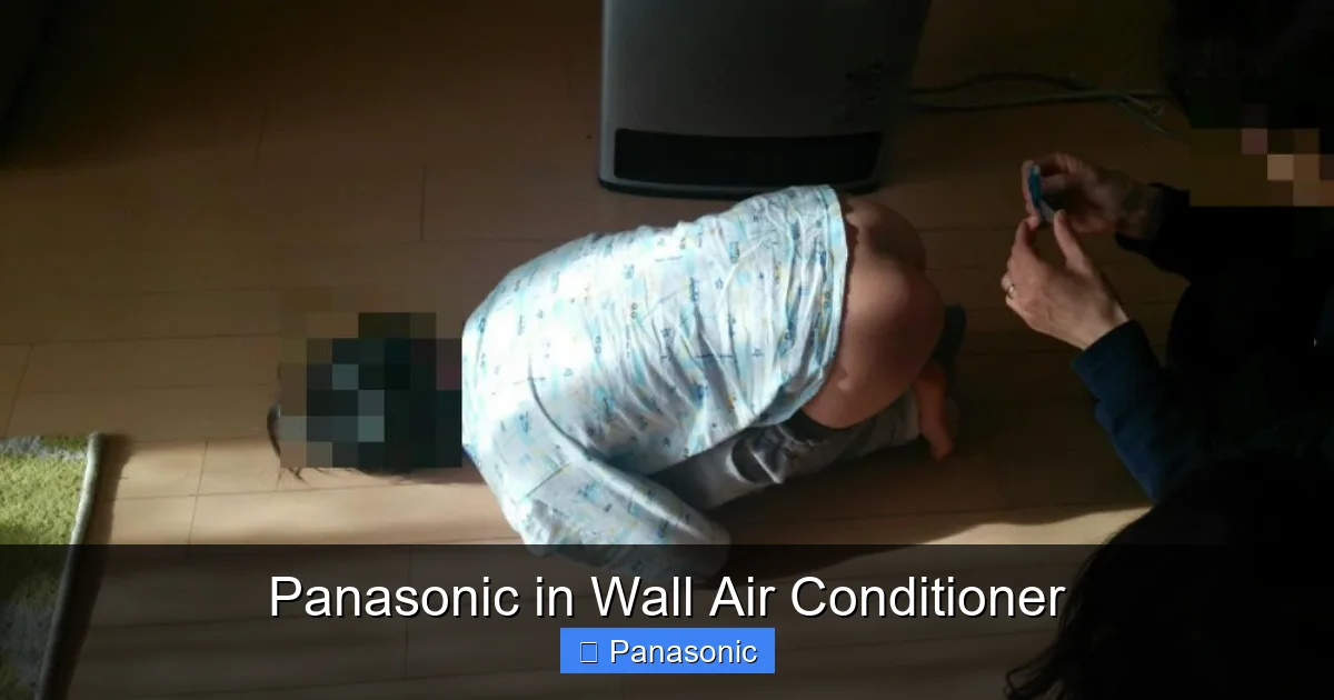Panasonic in Wall Air Conditioner