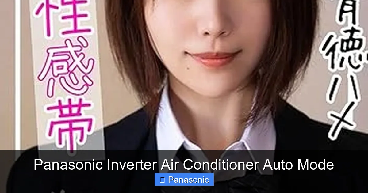 Panasonic Inverter Air Conditioner Auto Mode