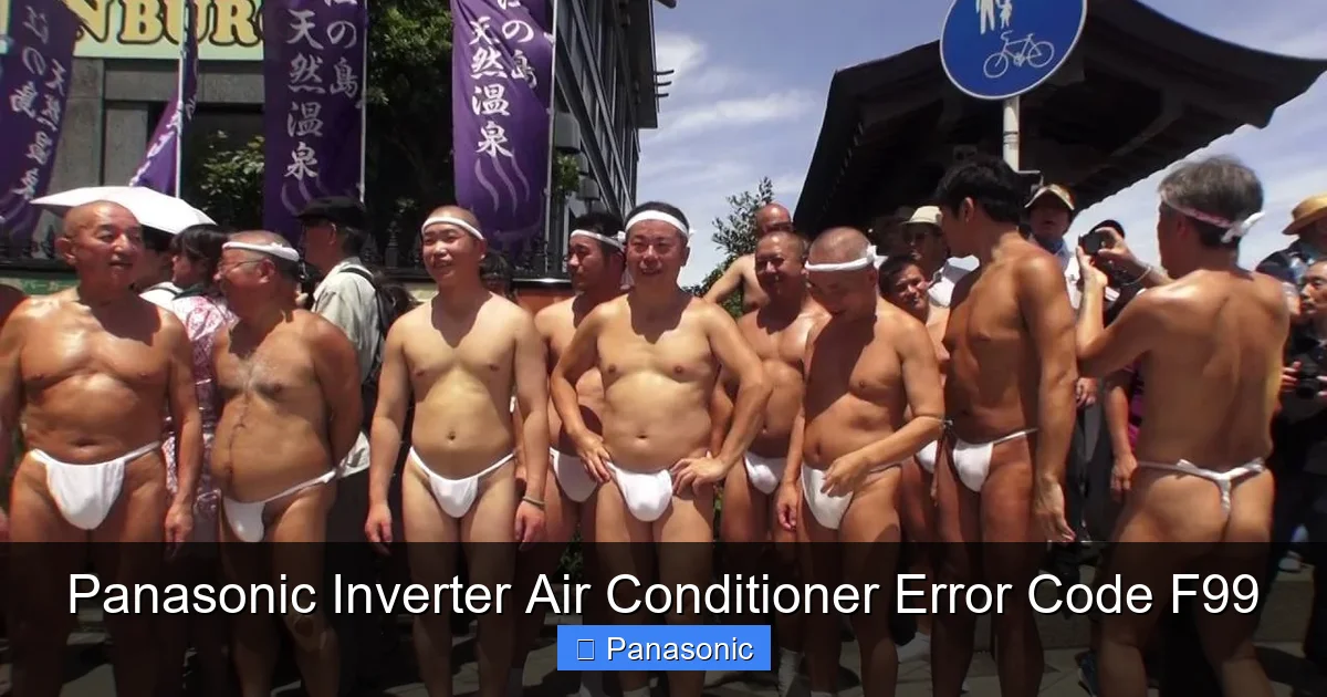Panasonic Inverter Air Conditioner Error Code F99