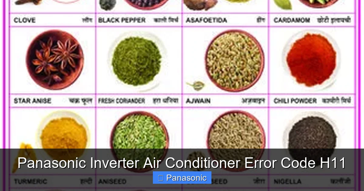 Panasonic Inverter Air Conditioner Error Code H11