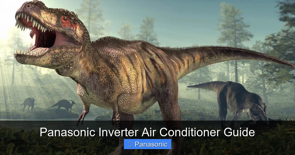 Panasonic Inverter Air Conditioner Guide