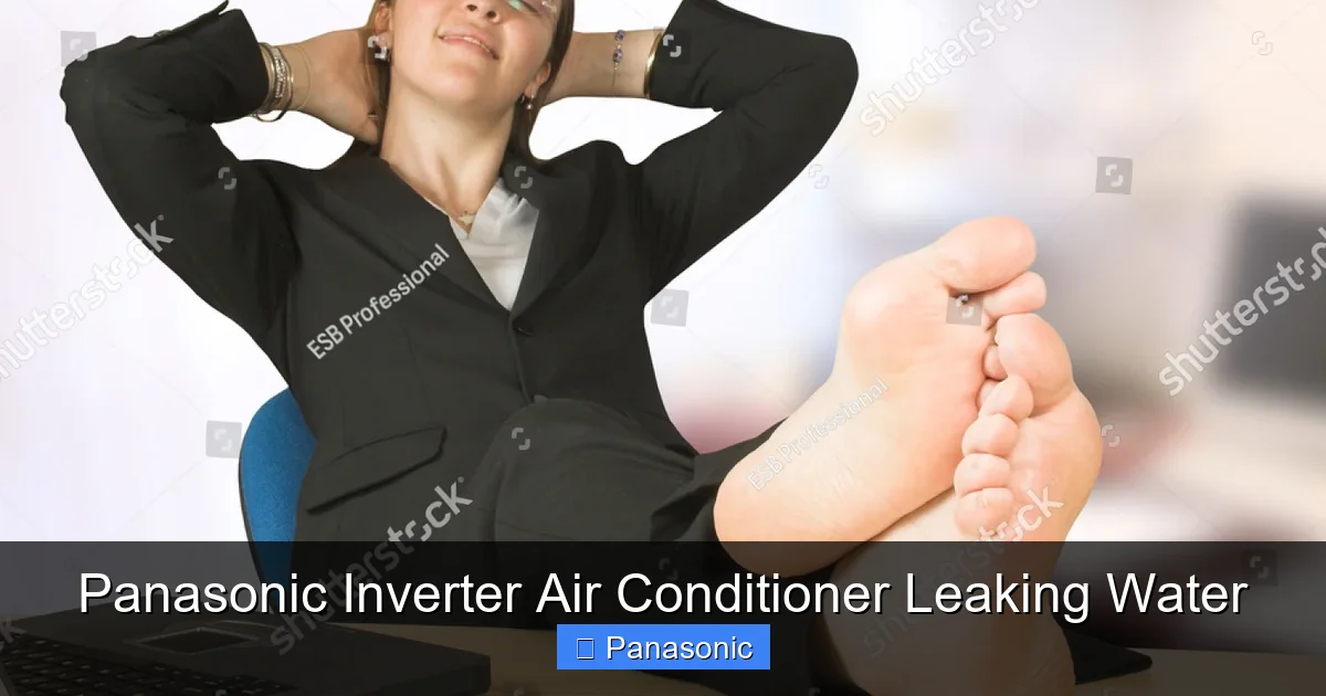 Panasonic Inverter Air Conditioner Leaking Water