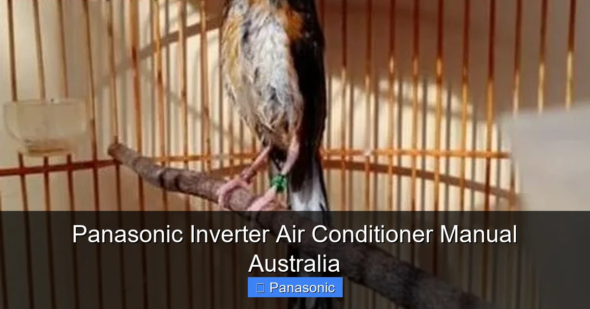 Panasonic Inverter Air Conditioner Manual Australia