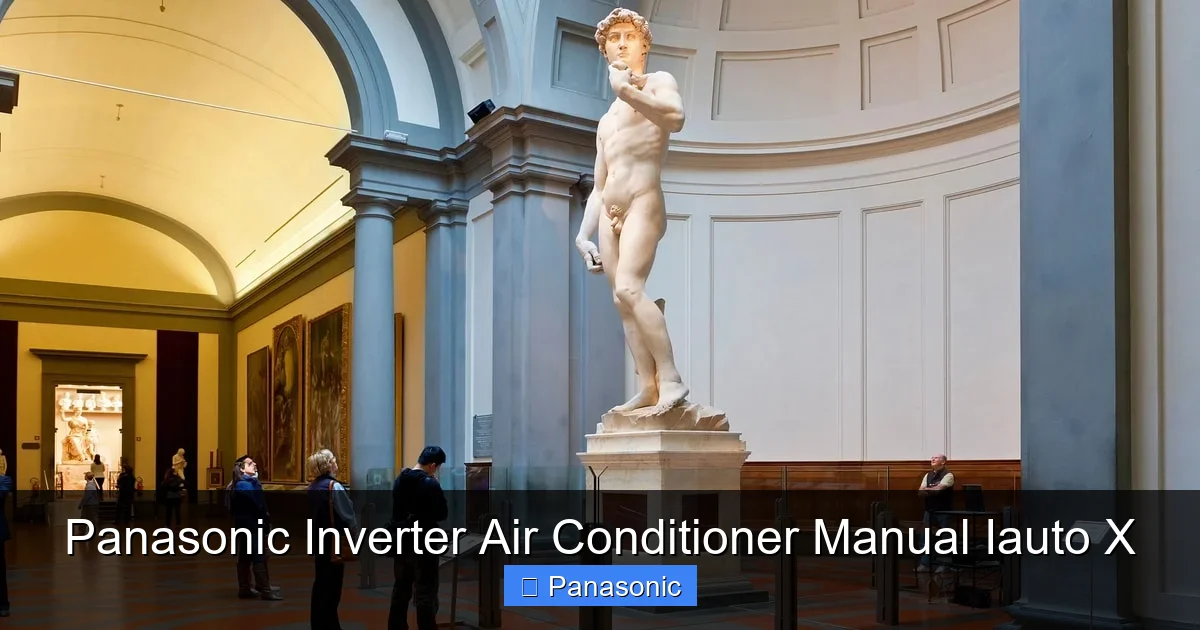 Panasonic Inverter Air Conditioner Manual Iauto X