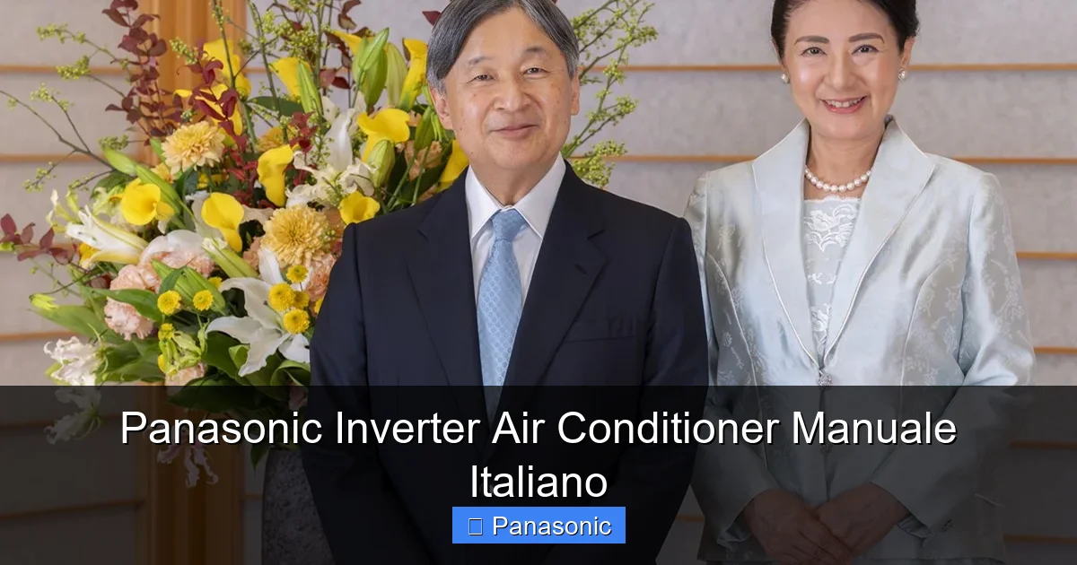 Panasonic Inverter Air Conditioner Manuale Italiano
