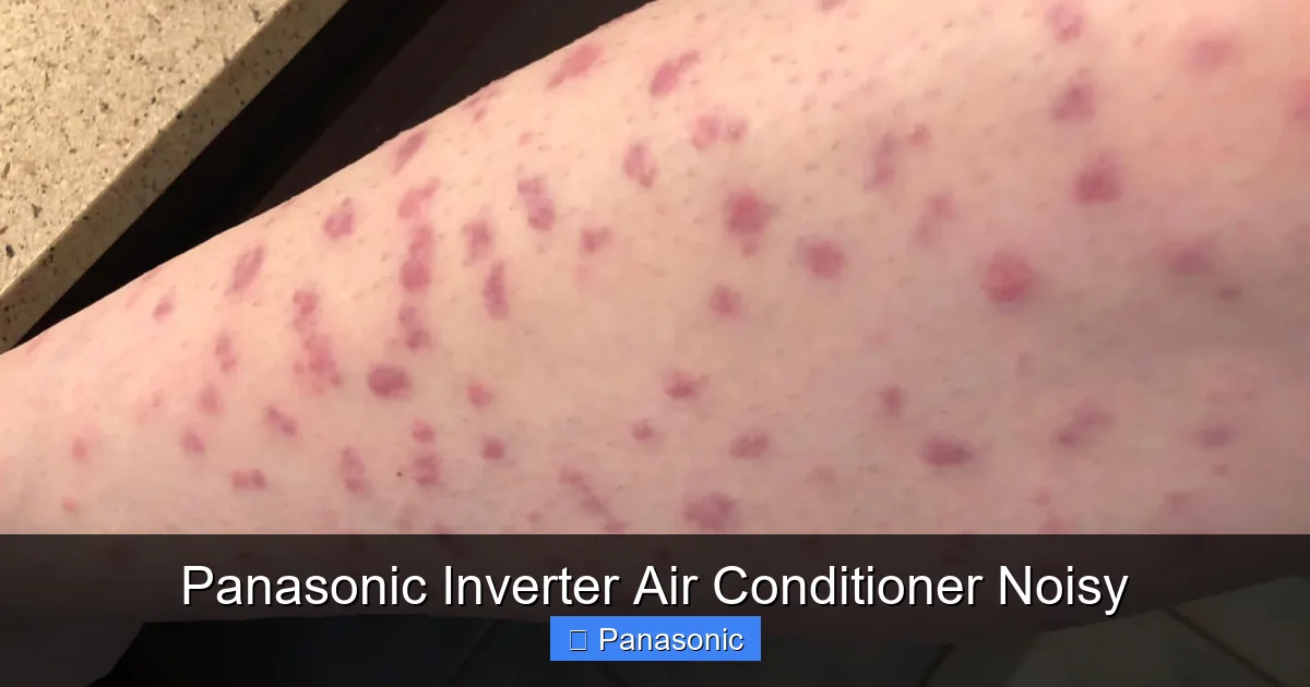 Panasonic Inverter Air Conditioner Noisy