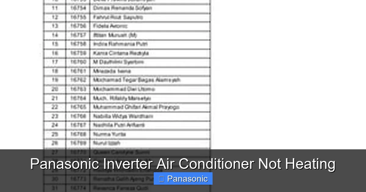 Panasonic Inverter Air Conditioner Not Heating