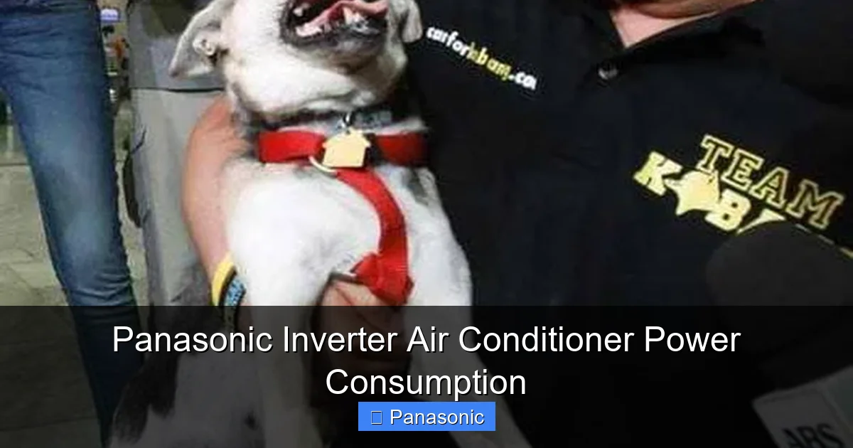 Panasonic Inverter Air Conditioner Power Consumption