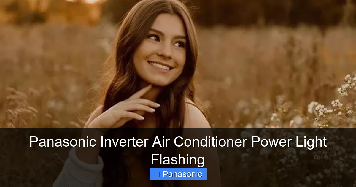 Panasonic Inverter Air Conditioner Power Light Flashing