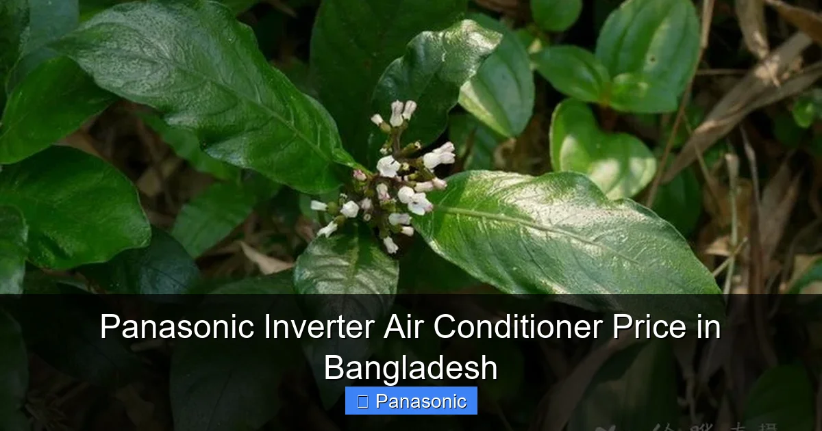 Panasonic Inverter Air Conditioner Price in Bangladesh