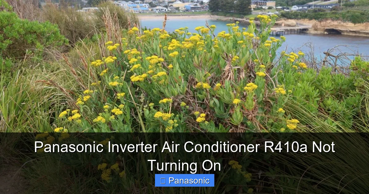 Panasonic Inverter Air Conditioner R410a Not Turning On