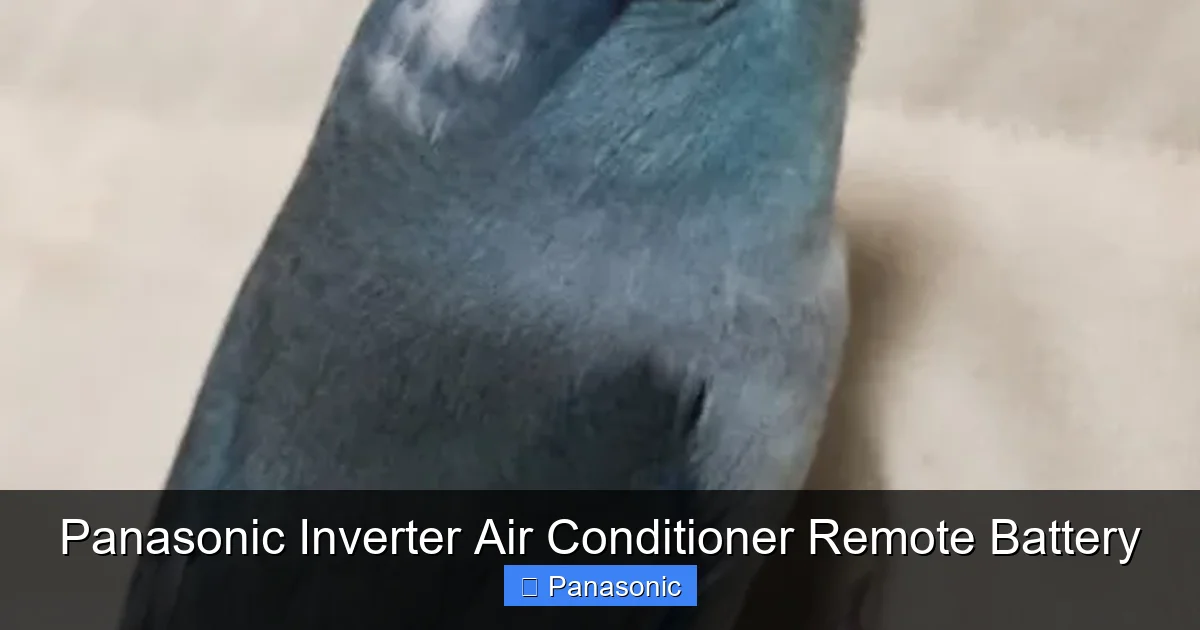 Panasonic Inverter Air Conditioner Remote Battery