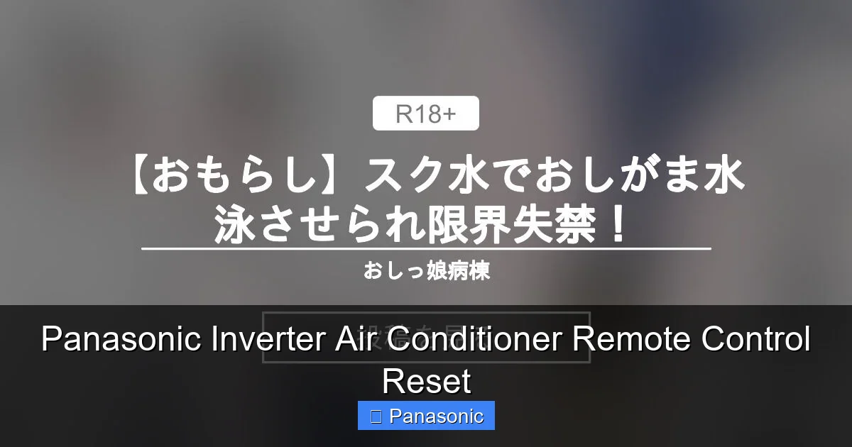 Panasonic Inverter Air Conditioner Remote Control Reset