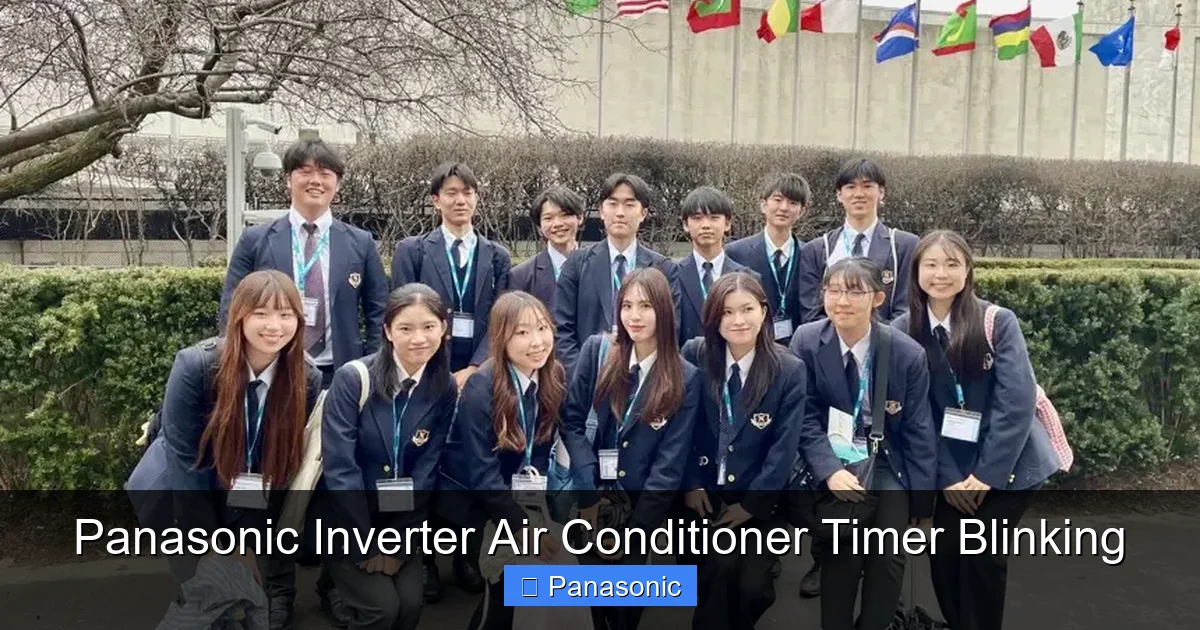Panasonic Inverter Air Conditioner Timer Blinking