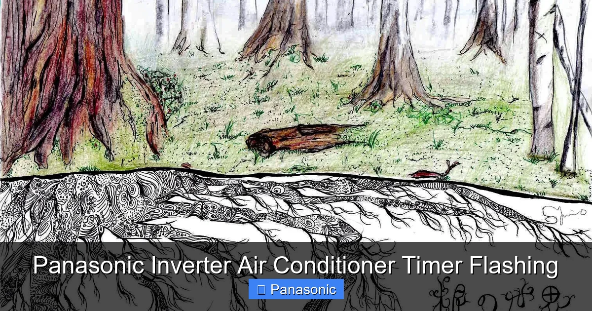 Panasonic Inverter Air Conditioner Timer Flashing