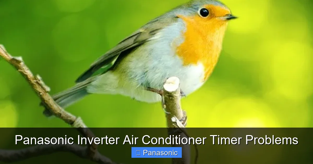 Panasonic Inverter Air Conditioner Timer Problems