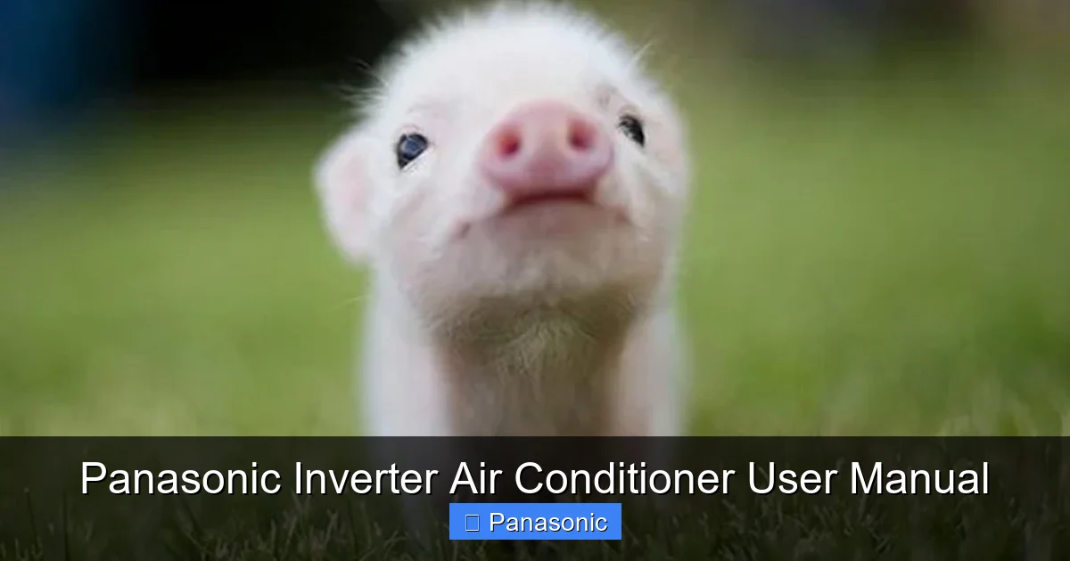 Panasonic Inverter Air Conditioner User Manual