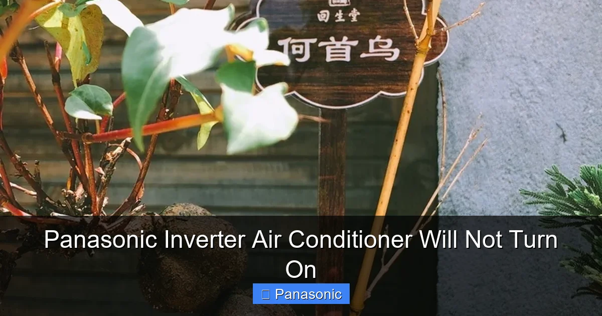 Panasonic Inverter Air Conditioner Will Not Turn On