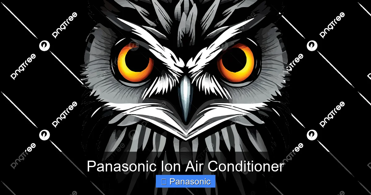 Panasonic Ion Air Conditioner