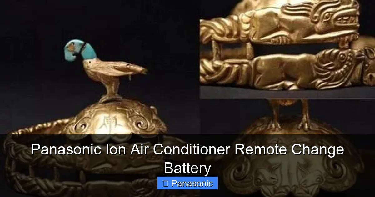 Panasonic Ion Air Conditioner Remote Change Battery