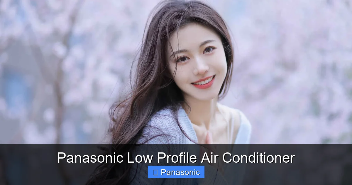 Panasonic Low Profile Air Conditioner