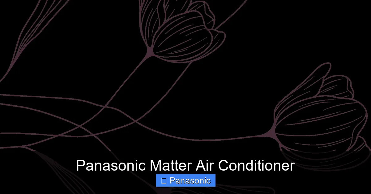 Panasonic Matter Air Conditioner