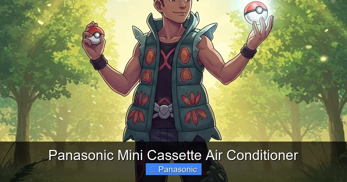 Panasonic Mini Cassette Air Conditioner