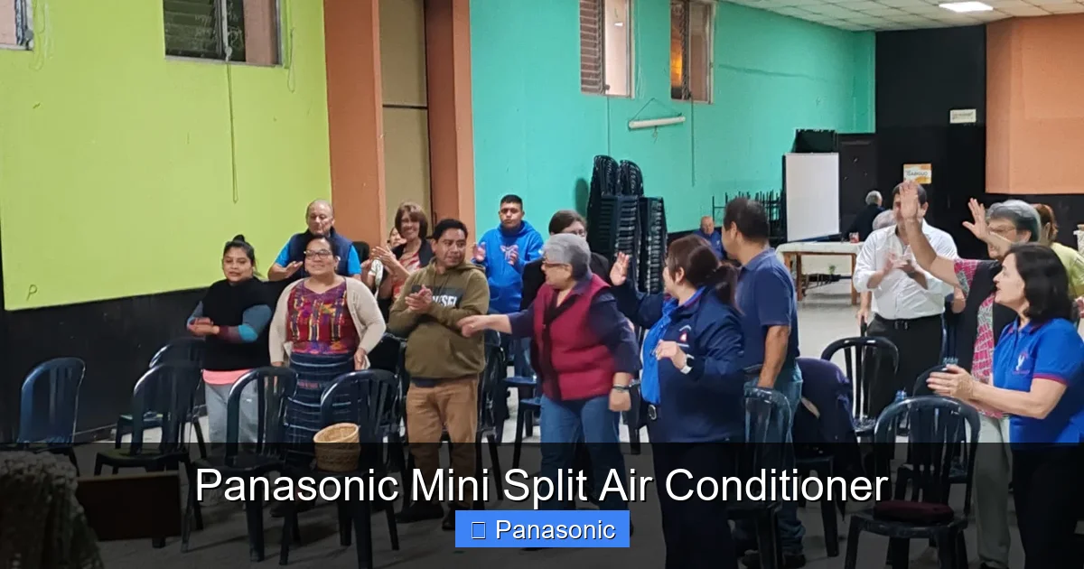Panasonic Mini Split Air Conditioner