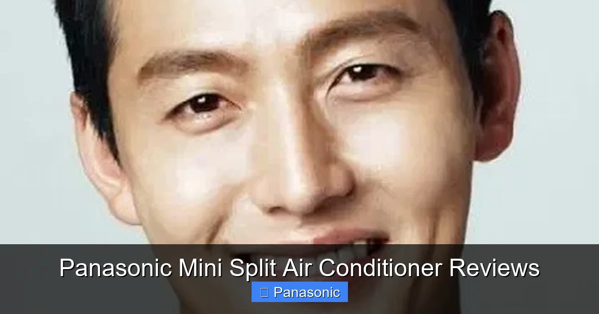 Panasonic Mini Split Air Conditioner Reviews