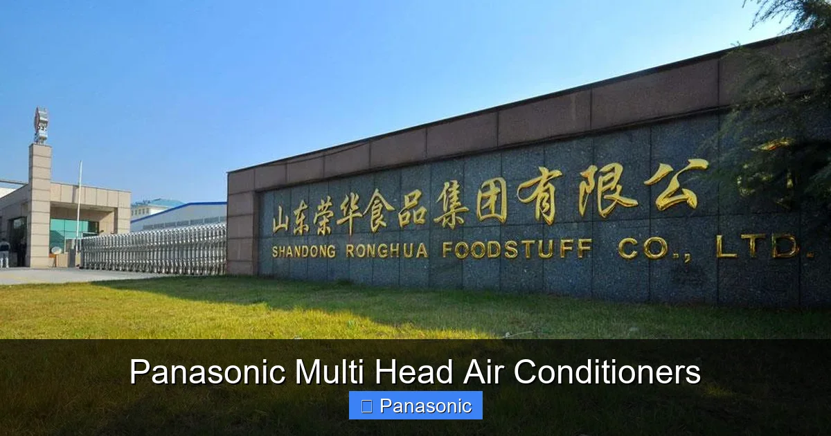 Panasonic Multi Head Air Conditioners