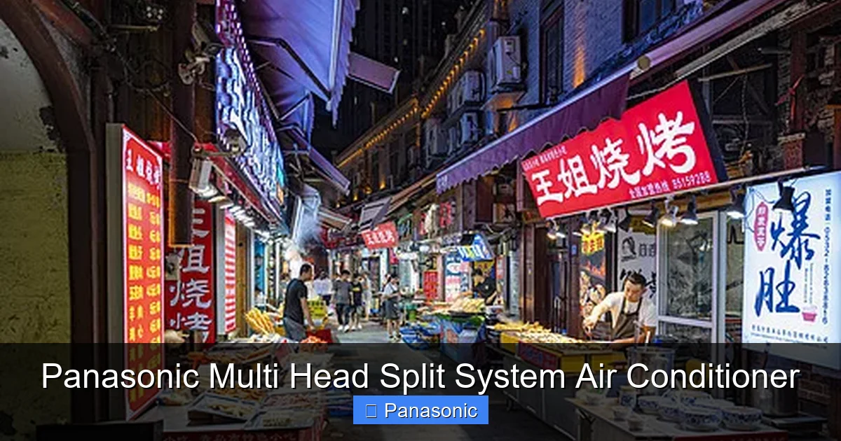 Panasonic Multi Head Split System Air Conditioner